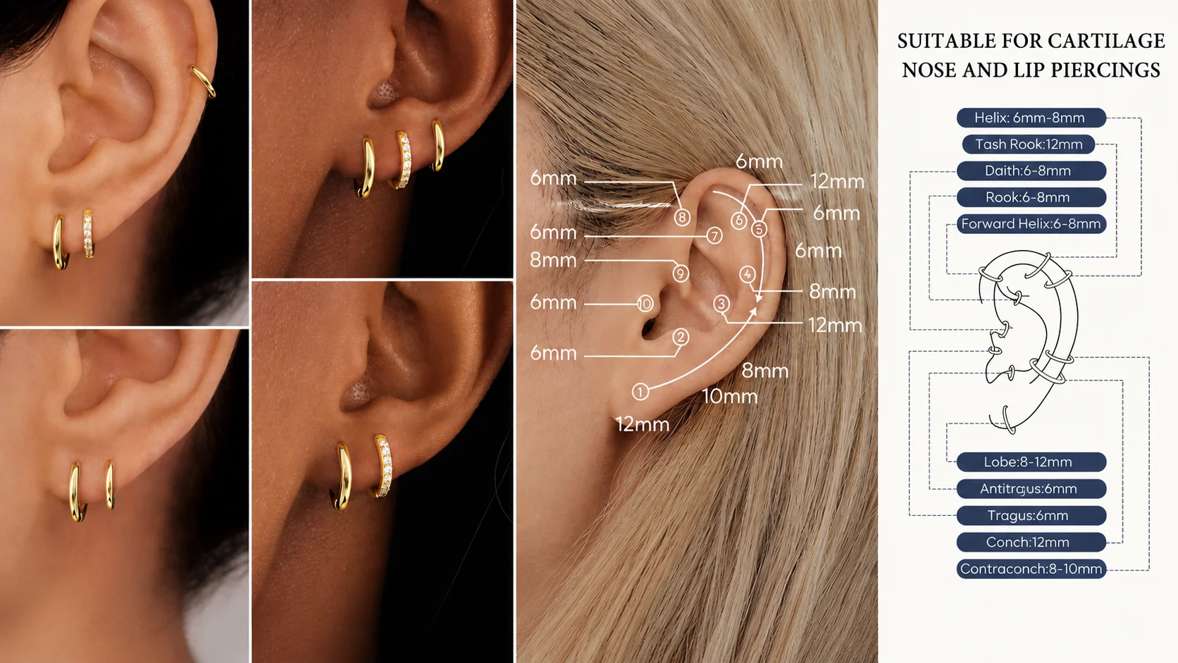 Ear piercing size chart for cartilage helix tragus conch and rook piercings, showing 6mm 8mm 10mm 12mm hoop sizes.